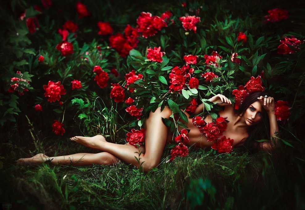 Красотка Milla позирует в шезлонге под кустом розы
