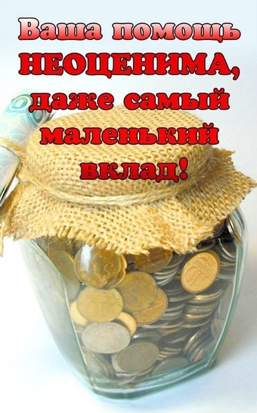 ►► Благотворительный фонд «#Доброе #Дело»!
Вы видели - как плачут малыши? 
Беззвучно, без надрыва и истерик... 
Слеза сползёт по худенькой щеке, 
А в выцветших глазах - желанье ВЕРИТЬ, 
Что нам с тобой их интересна жизнь, 
И где болит, и что приснилось ночью...? 
И слышишь ты, как сердце их дрожит, 
И как оно домой скорее хочет... 
Вы видели, как чуда ждут они, 
И просят не игрушку, а здоровье? 
Как маленькие ручки их дрожат, 
Когда берут у них анализ крови... 
Какое счастье слышать каждый день 
Их милый голос - добрый и родной... 
Какое счастье знать, что БУДЕТ ЖИТЬ 
Твой самый-самый человек родной. 
Пусть никогда не плачут малыши! 
Пусть голос их звучит все время звонко. 
Ведь нет на свете ничего важней 
Здоровья твоего ребенка!
✩✩✩
Дорогие наши, просьба отозваться!!! 
Не бойтесь маленьких сумм, именно так и закрываются сборы, именно так мы сможем помочь и подарить счастливую и яркую жизнь.
☞☞ САЙТ http://www.dobro-delo.ru/

✩✩✩
❤ Поддержите фонд "Доброе Дело".
★ Вы можете отправить СМС на номер 7715 с текстом
Ёжик пробел (сумма пожертвования)
Например: Ёжик 500 

► Контакты и реквизиты: http://www.dobro-delo.ru/kontakty 
✔ Оказать помощь!? http://www.dobro-delo.ru/okazat-pomoshch 

#Ижевск #Ёжик #Помощь #Благотворительность #Добро #Хорошеедело #Доброедело #Фонд #СМС #ДУША #Ёжик 

✞ ПОЖАЛУЙСТА, СДЕЛАЙТЕ ПЕРЕПОСТ!!! (это тоже огромная помощь!)