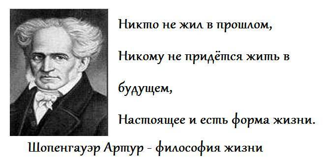 Афоризмы шопенгауэра. Шопенгауэр цитаты. Шопенгауэр о жизни. Артур Шопенгауэр цитаты. Шопенгауэр философия цитаты.