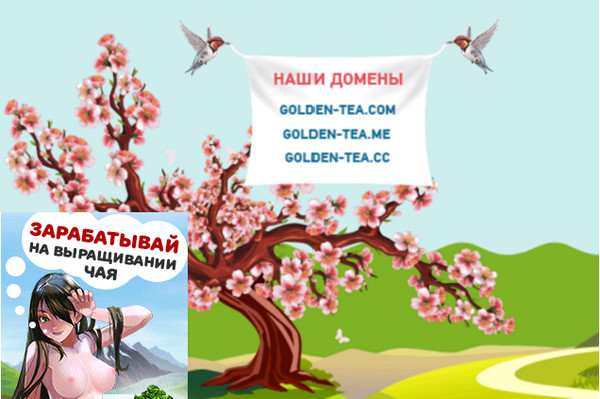 Зарабатывай выращивая чай!!!
https://golden-tea.me/?ref=853399