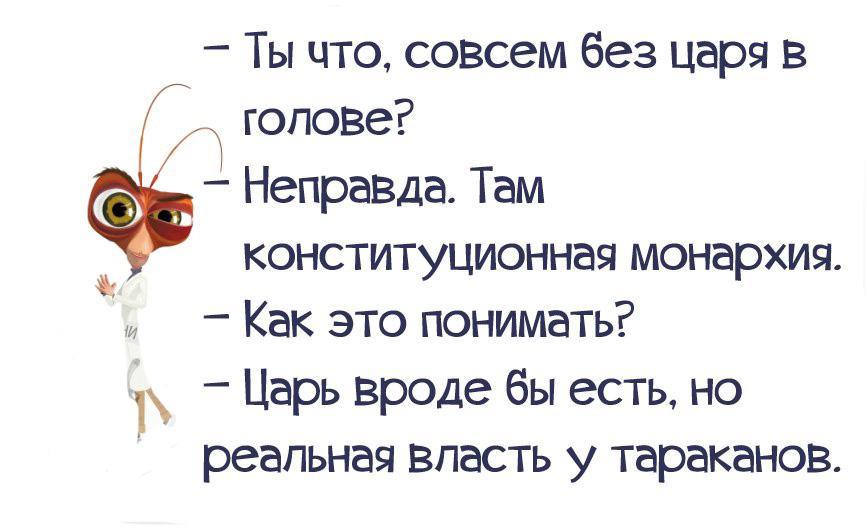 Тараканы в голове картинки прикольные у женщин