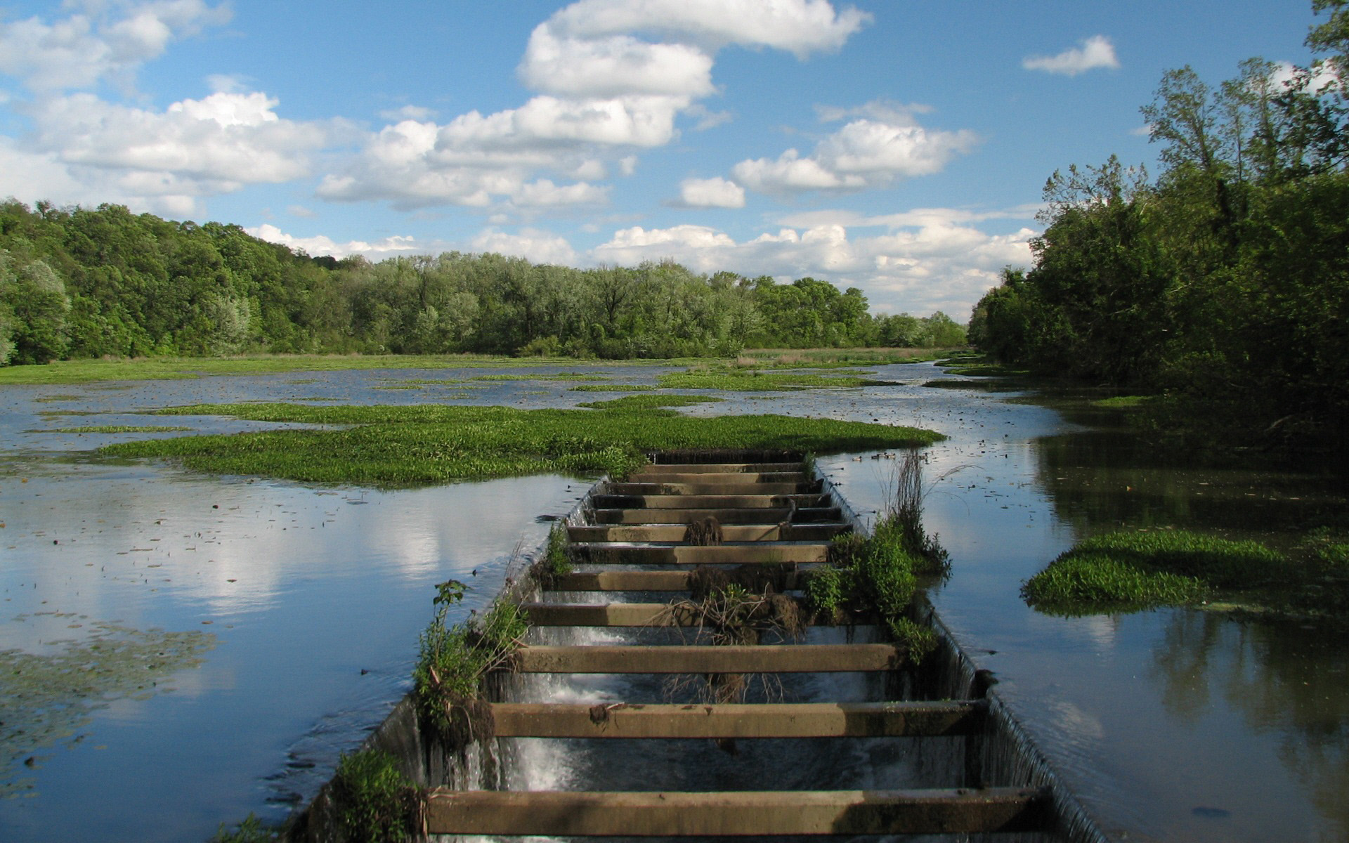 Водоток водохранилища. Река Лоча. Водоемы и водотоки. Река малая Лоча. Река большая Лоча.