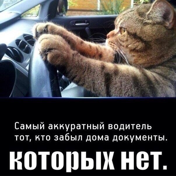Картинки для водителей прикольные