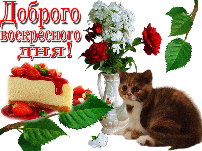 Красивые открытки прекрасного воскресенья, цветы