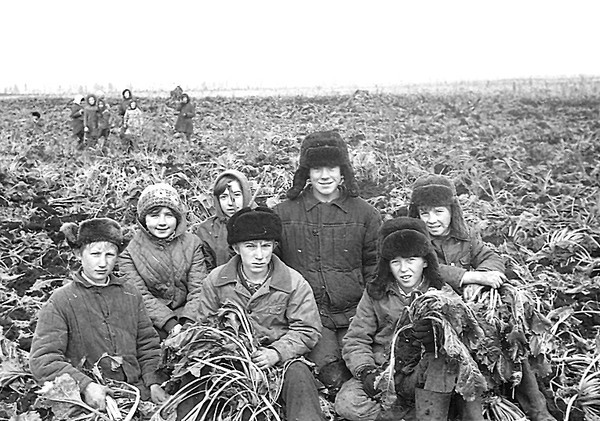 Свадьбу своими, трудовые будни картинки