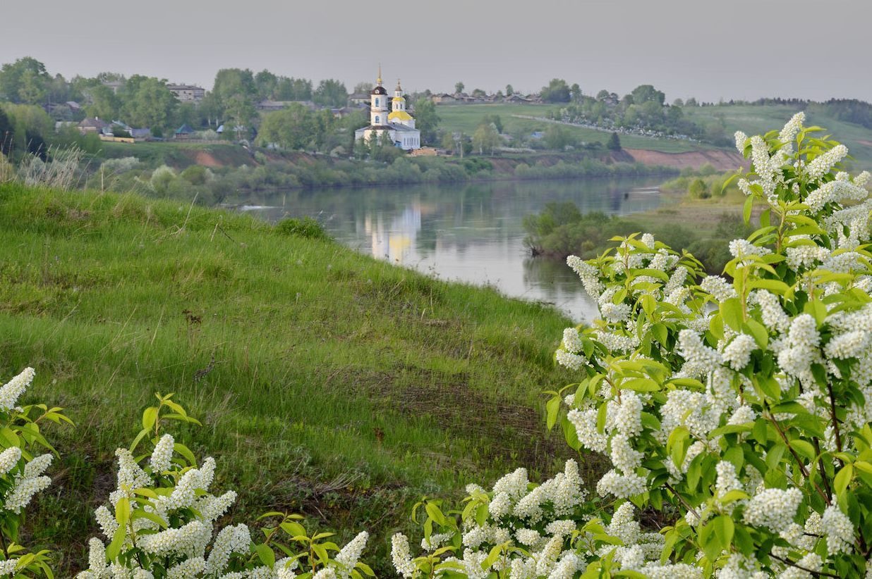 Russian may. Село черёмуха Марий Эл. Цветет черемуха в деревне река. Храм черемуха Киев. Черемуха цветет в деревне.