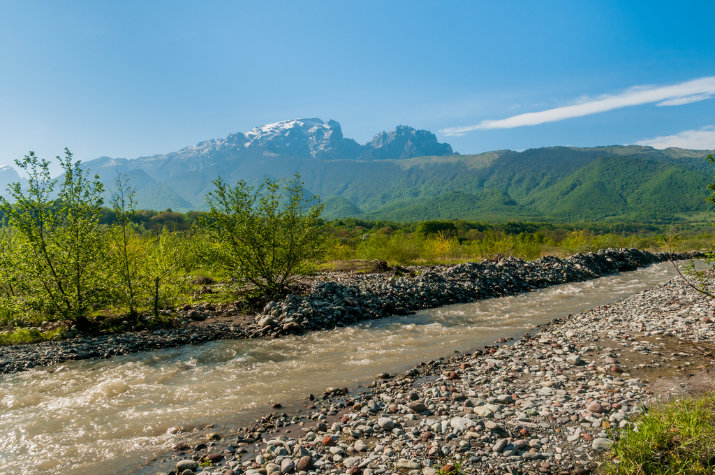 Терек фото животного