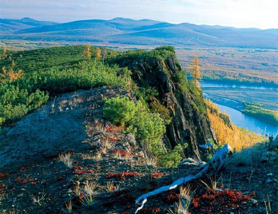 Остров Врангеля Фотографии Заповедник